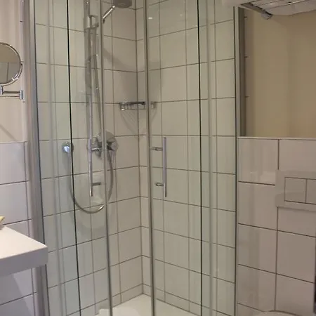 卓悦酒店 4* 巴德索登陶努斯