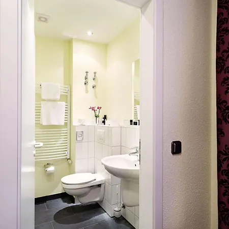 卓悦酒店 4* 巴德索登陶努斯